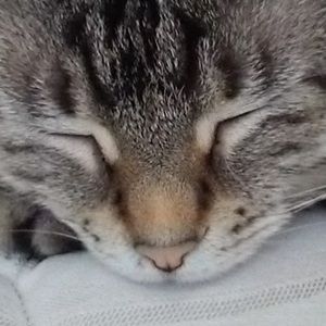 Meet your Posher, Mackenzie